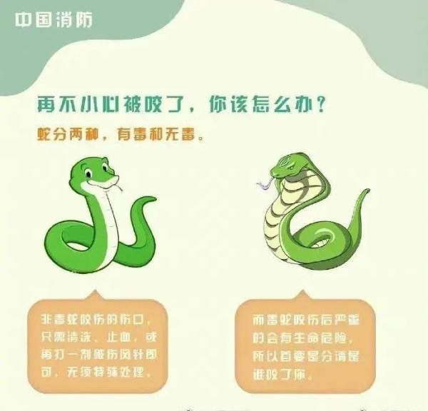 惊！一地出现百斤大蟒蛇，村民徒手“薅”蛇，网友：是个狠人！