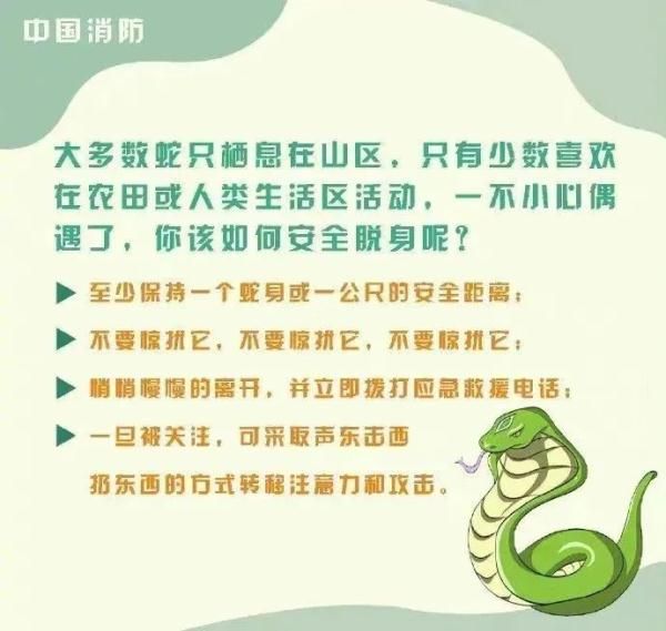 惊！一地出现百斤大蟒蛇，村民徒手“薅”蛇，网友：是个狠人！