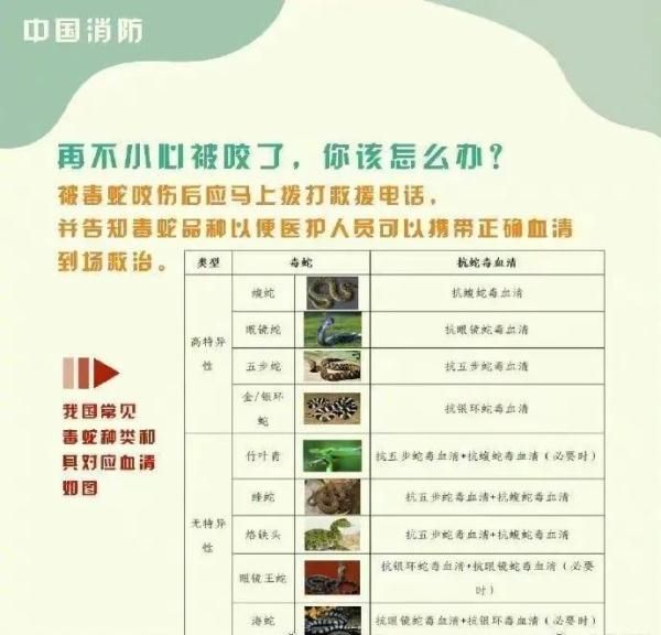 惊！一地出现百斤大蟒蛇，村民徒手“薅”蛇，网友：是个狠人！
