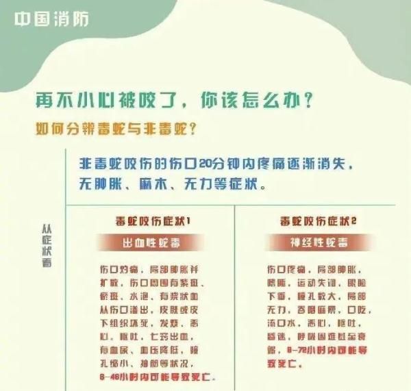 惊！一地出现百斤大蟒蛇，村民徒手“薅”蛇，网友：是个狠人！