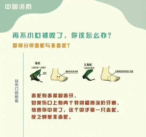 惊！一地出现百斤大蟒蛇，村民徒手“薅”蛇，网友：是个狠人！