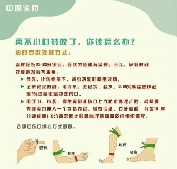 惊！一地出现百斤大蟒蛇，村民徒手“薅”蛇，网友：是个狠人！