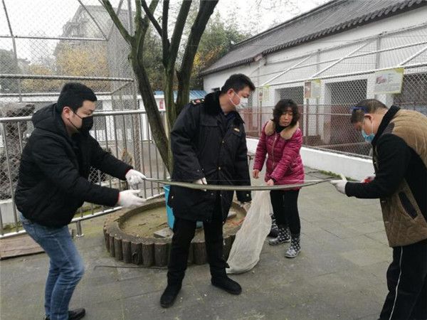 严厉打击！江苏6起违法销售野生动物案例被曝光