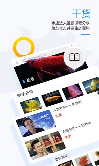 龙巅1