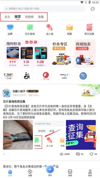 龙巅5