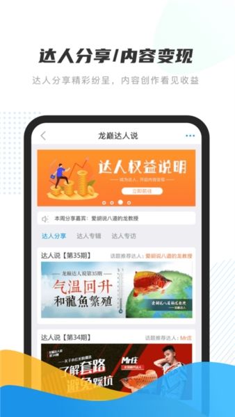 龙巅3