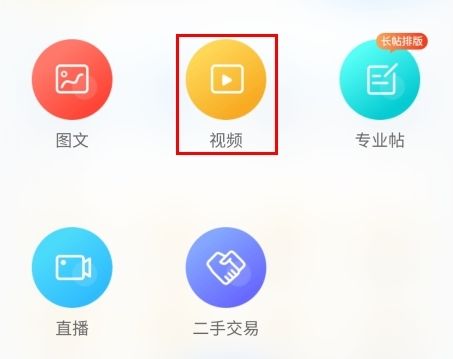 龙巅11
