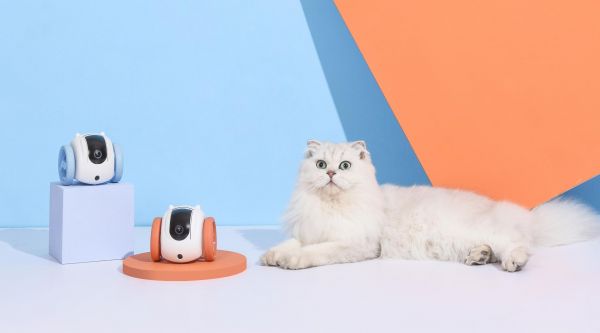 宠物用品/宠物产品只猫咪用品猫咪智能陪伴机器人