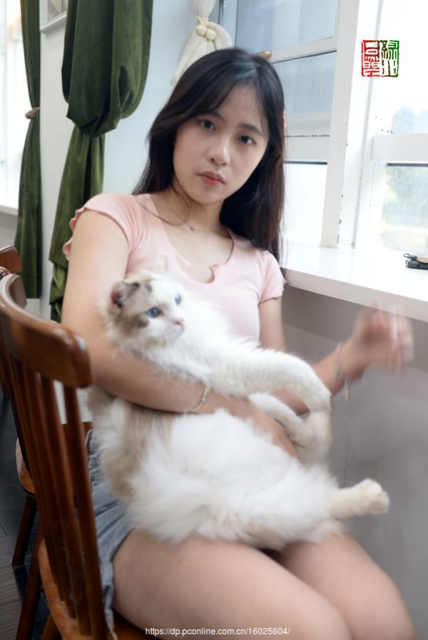 我爱猫咪