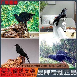 万圣节羽毛仿真乌鸦鬼节假鸟cos