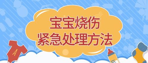 宠物烧伤紧急处理指南