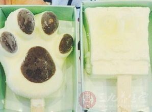 宠物拉稀,饮食调养有妙招