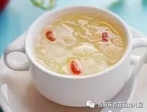 宠物健康,饮食调理是关键。