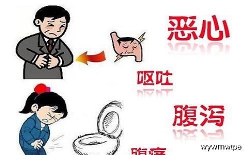 宠物肠胃炎,饮食调养关键