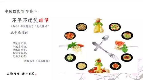 宠物肠胃炎,饮食调养关键