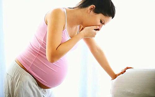 宠物肚子胀,饮食调养有妙招