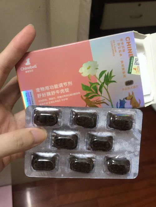 宠物狗胰腺炎治疗指南（宠物狗得胰腺炎怎么治疗好）