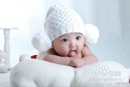 宠物拉肚子怎么办?调养饮食防腹泻