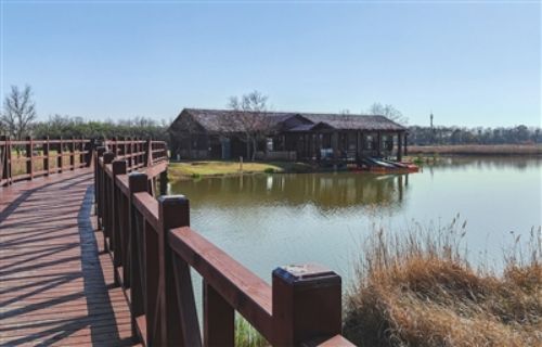 来东滩湿地公园感受春天1.jpg