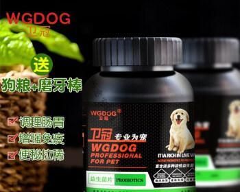 老年狗狗的钙片需求与选择（宠物医生给出建议）