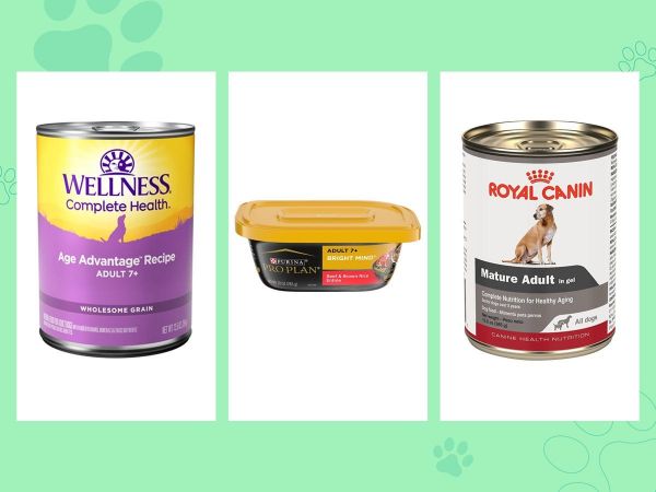 一罐Wellness高级年龄犬食品,一罐Purina Pro Plan 成年7+犬粮,以及一罐Royal Canin成熟犬食品,放在绿色背景上。