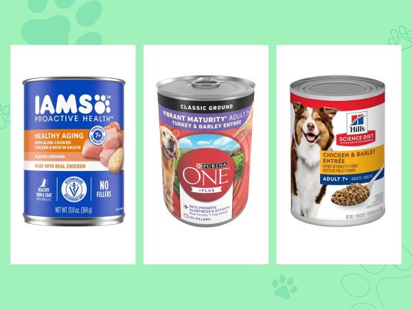 Iams、普瑞纳和希尔斯三种湿老年狗粮罐头放在绿色背景上的图片。