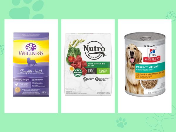 推荐3种减肥的狗粮,包括Wellness、Nutro干粮和Hill's湿罐头食品,在绿色背景下。
