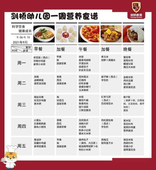 2月龄幼犬营养食谱指南