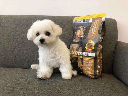 “比熊犬食谱:低脂、高蛋白,营养均衡。”