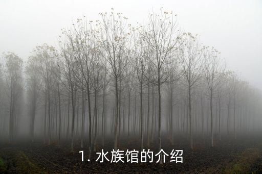 1. 水族馆的介绍