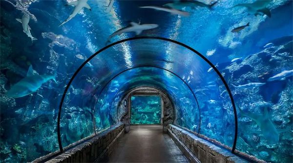 水族馆加盟
