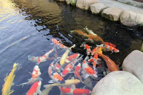 水族馆加盟