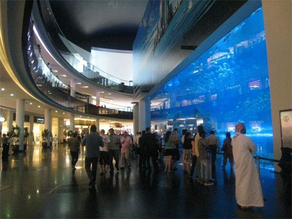 水族馆加盟