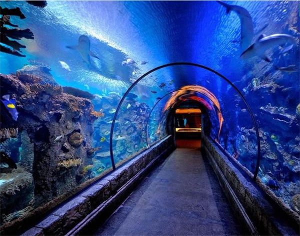 水族馆加盟