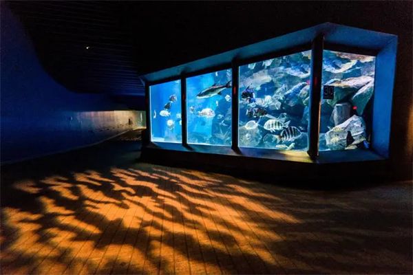 水族馆加盟