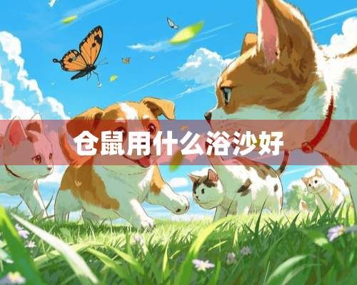 仓鼠用什么浴沙好