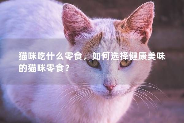 猫咪吃什么零食，如何选择健康美味的猫咪零食？