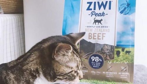 猫咪零食,怎么挑选最合适?