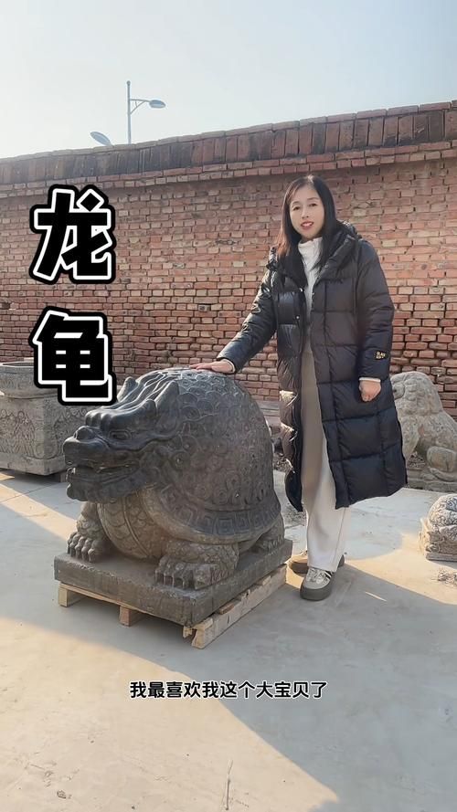 神武金钱龟技能搭配推荐：打造最强辅助宠物