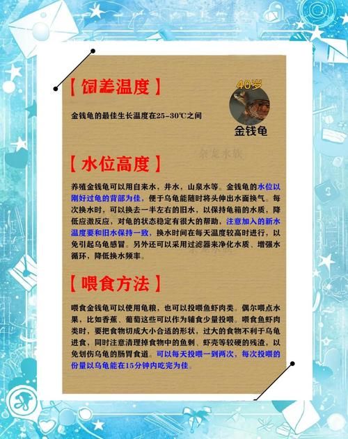 神武金钱龟技能搭配推荐：打造最强辅助宠物