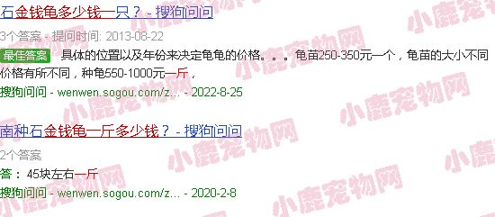 金钱龟多少钱一斤贵吗