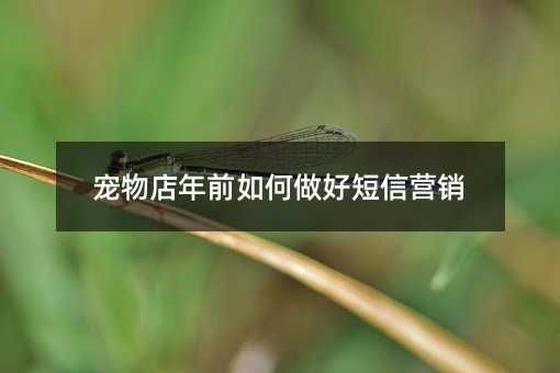 宠物店年前如何做好短信营销