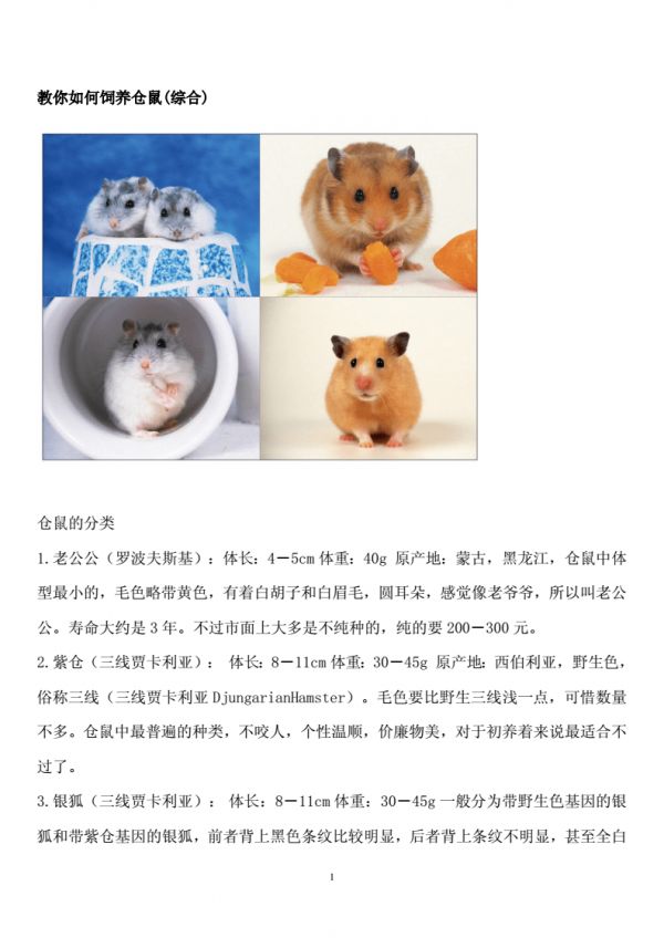 教你如何饲养仓鼠是.doc 42页