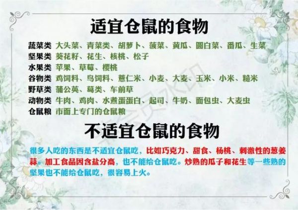 原创养仓第2步一本正经的仓鼠饲养指南