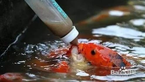 天王水族鱼缸电源安装教程图解视频（ 森森鱼缸电源安装视频）（天王水族鱼缸电源安装教程） 观赏鱼论坛