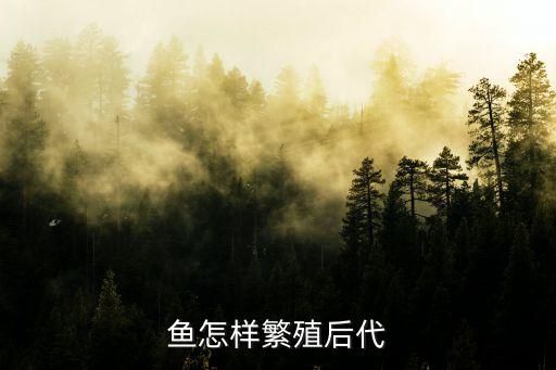 鱼怎样繁殖后代