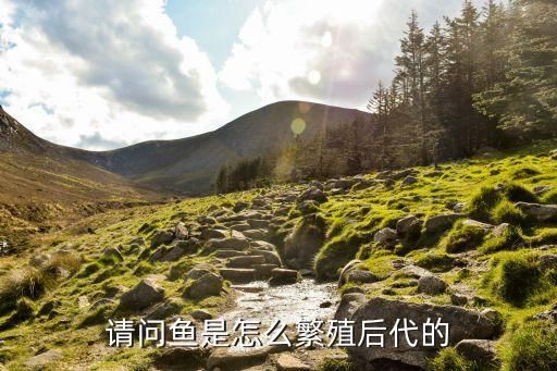 请问鱼是怎么繁殖后代的