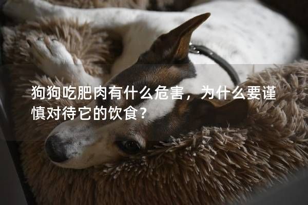 狗狗吃肥肉有什么危害，为什么要谨慎对待它的饮食？