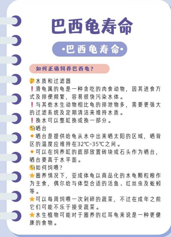 巴西龟的寿命（巴西龟的寿命一般多少年）