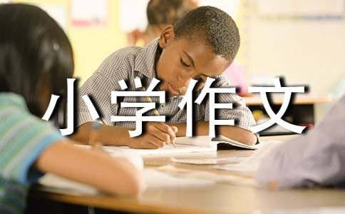 小宠物小学作文(汇编15篇)